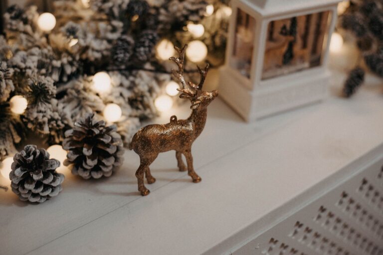 The Week the Ornaments Go Back in Their Boxes - holidays at home